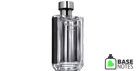 basenotes prada l homme|Prada l'homme cologne 2016.